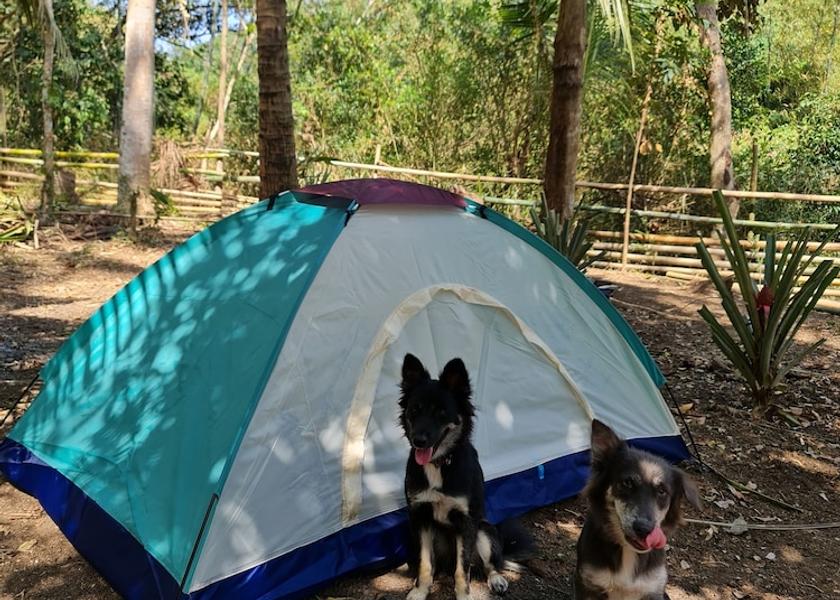 Calabarzon Mabini Room
