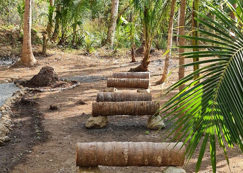 Calabarzon Mabini Garden