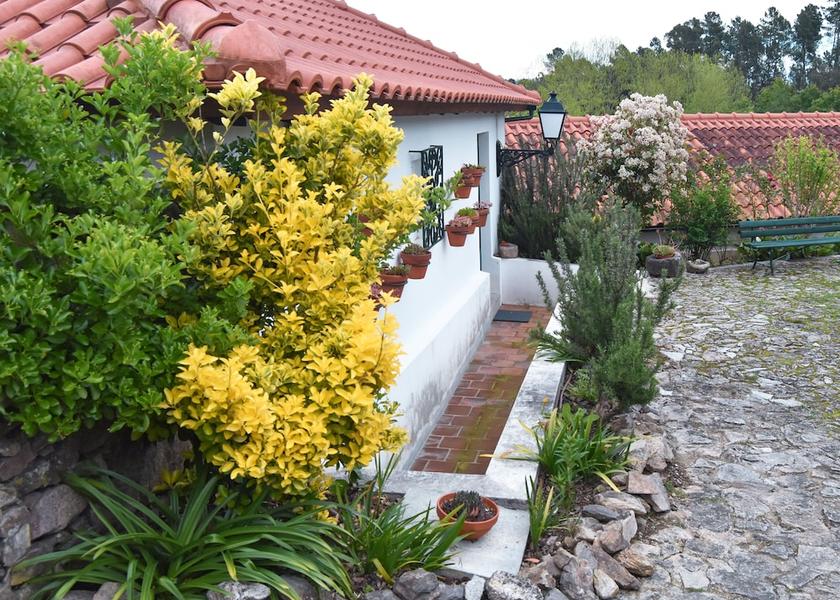 Braga Cabeceiras de Basto Terrace