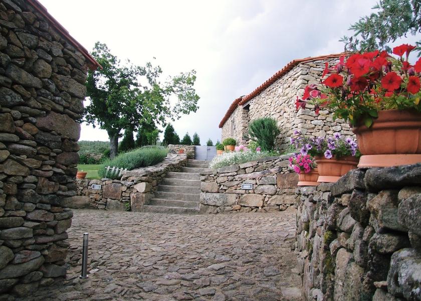 Viseu Moimenta da Beira Exterior Detail