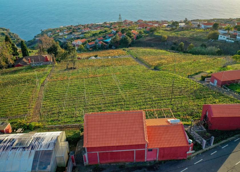 Madeira Region Calheta Exterior Detail