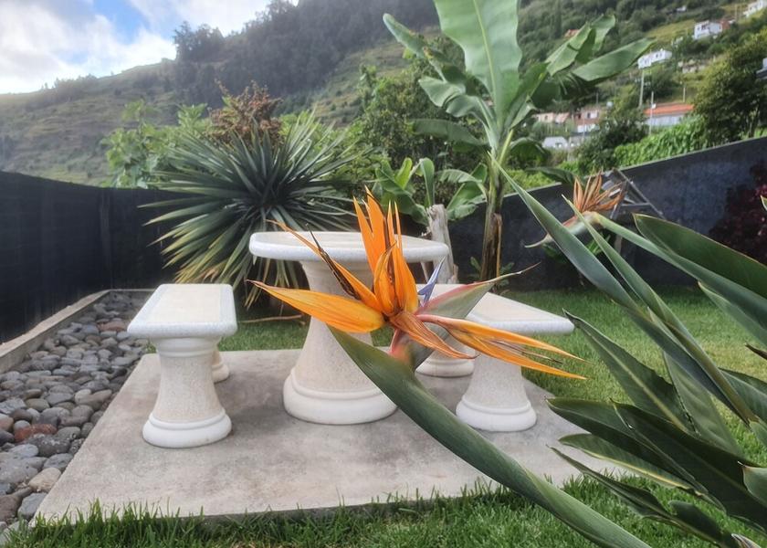 Madeira Region Calheta Property Grounds