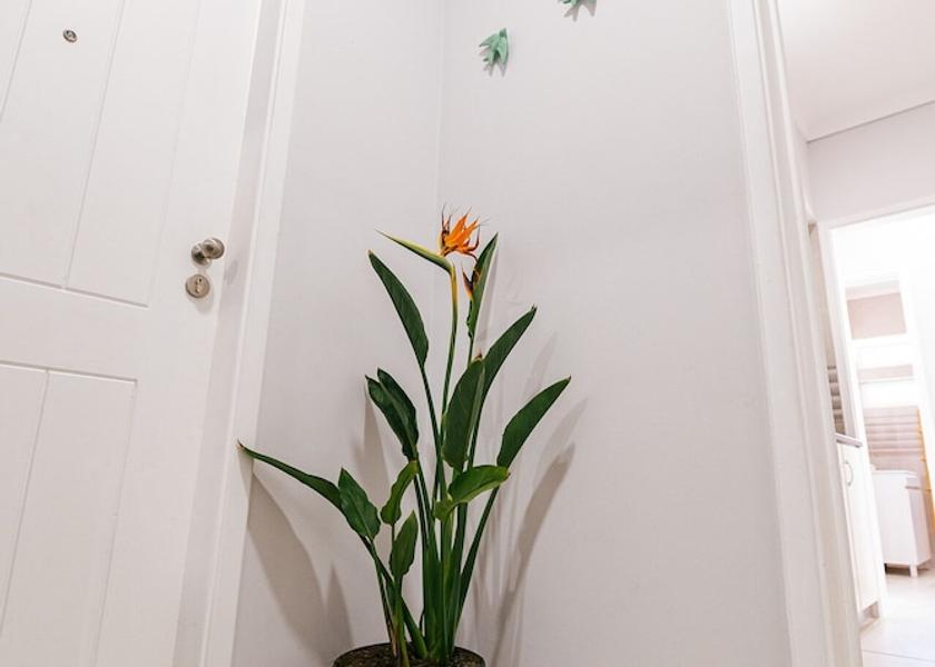 Leiria District Peniche Exterior Detail