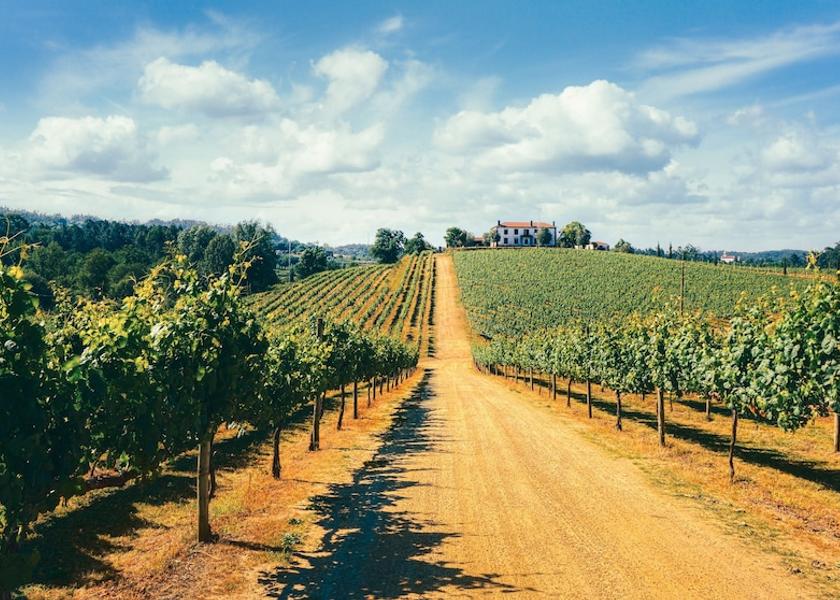 Braga Vila Verde Winery
