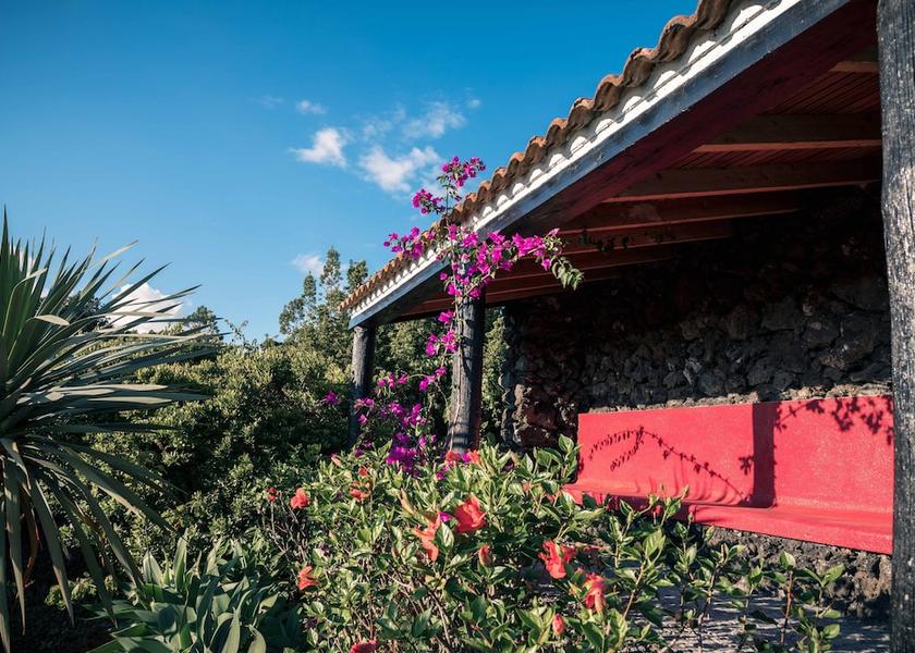 Azores Madalena Garden