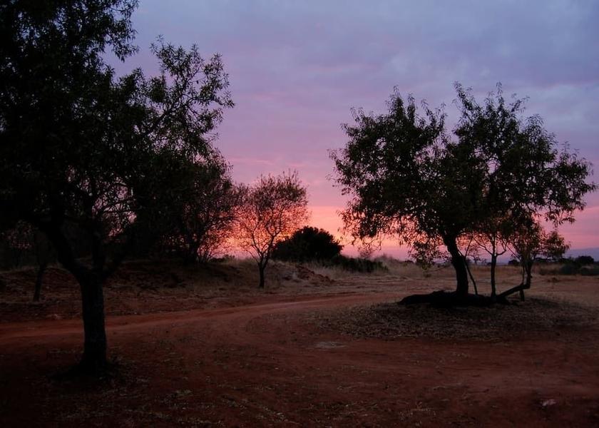 Faro Silves Garden