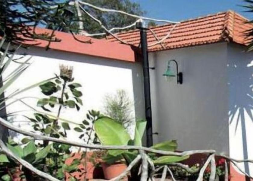 Madeira Region Porto Moniz Exterior Detail