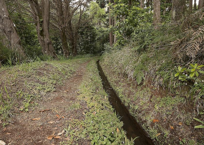 Madeira Region Porto Moniz Exterior Detail