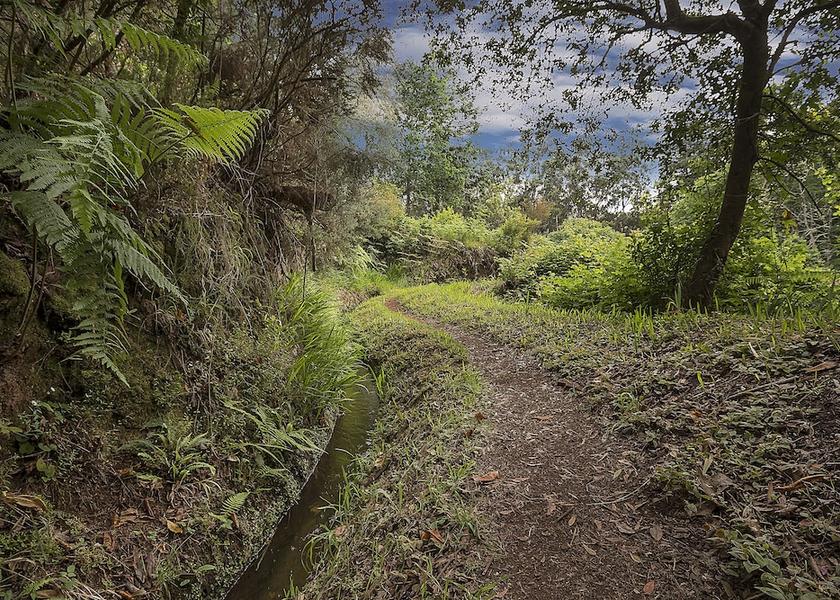 Madeira Region Porto Moniz Exterior Detail