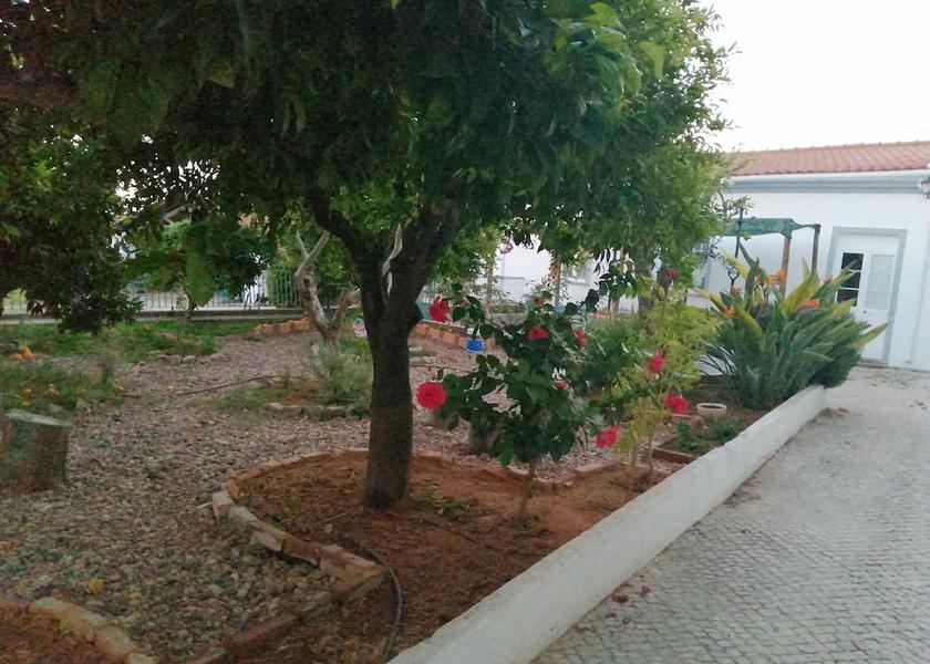 Beja Serpa Terrace