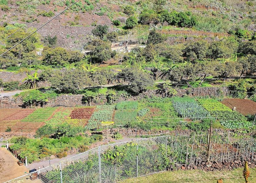 Madeira Region Ribeira Brava Exterior Detail