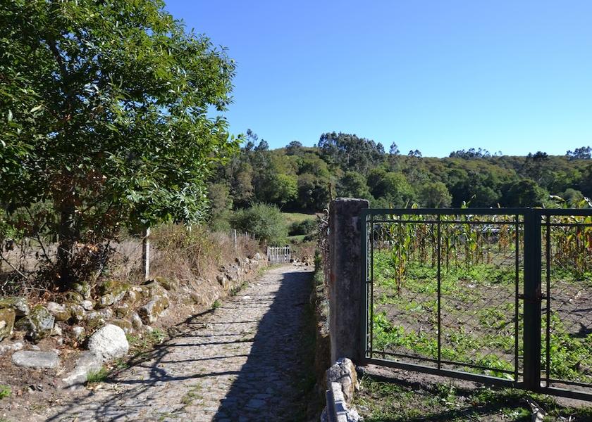 Land View from Property