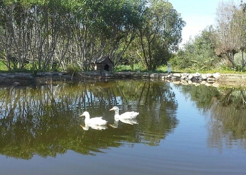 Faro District Faro Lake