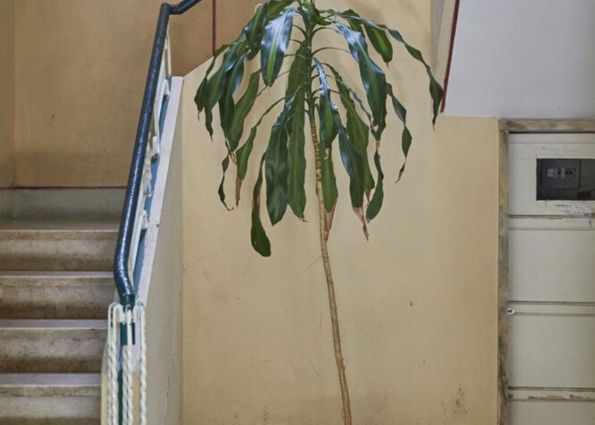  Oeiras Facade