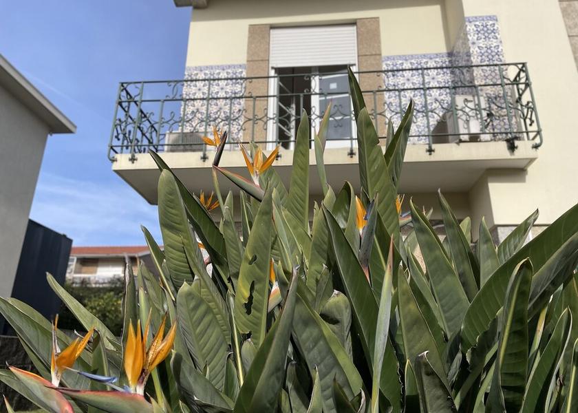 Braga Braga Facade