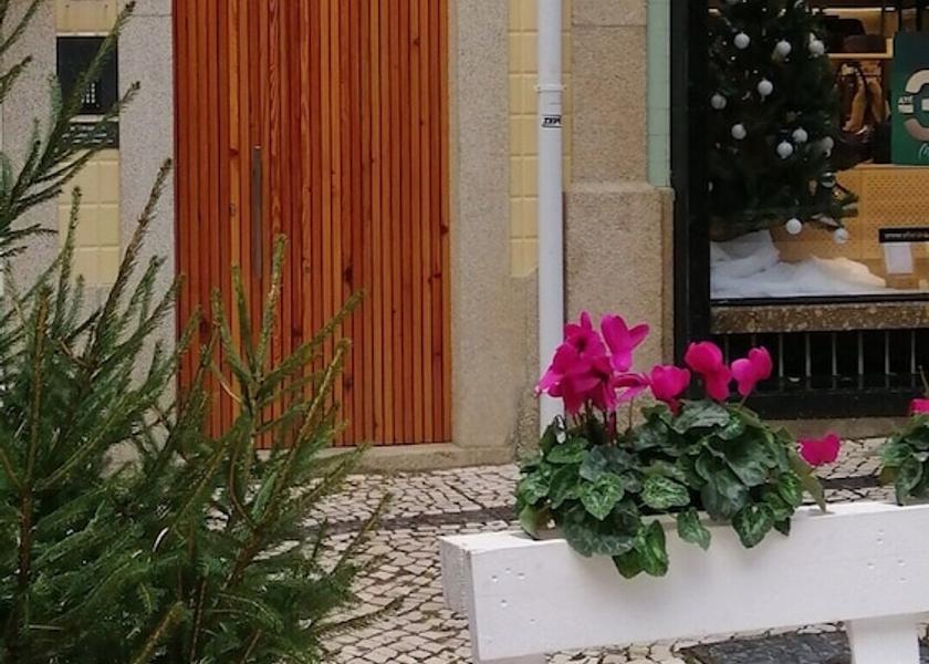 Aveiro Espinho Exterior Detail