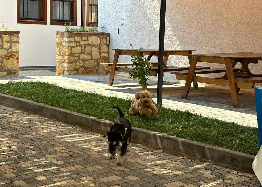 Çanakkale Bozcaada Breakfast Area