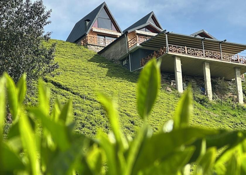 Rize Province Ardeşen Room