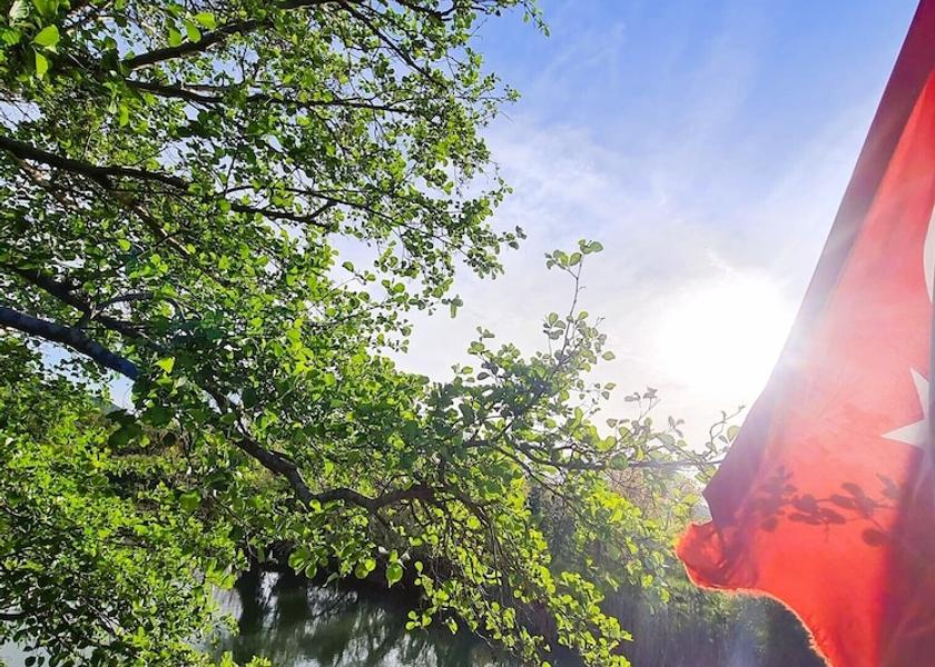  Sile Exterior Detail