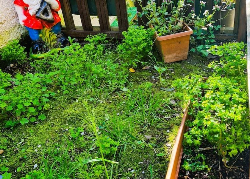  Sile Exterior Detail