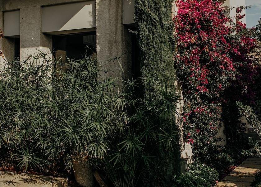 Izmir Çeşme Garden