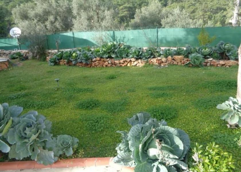 Muğla Muğla Property Grounds