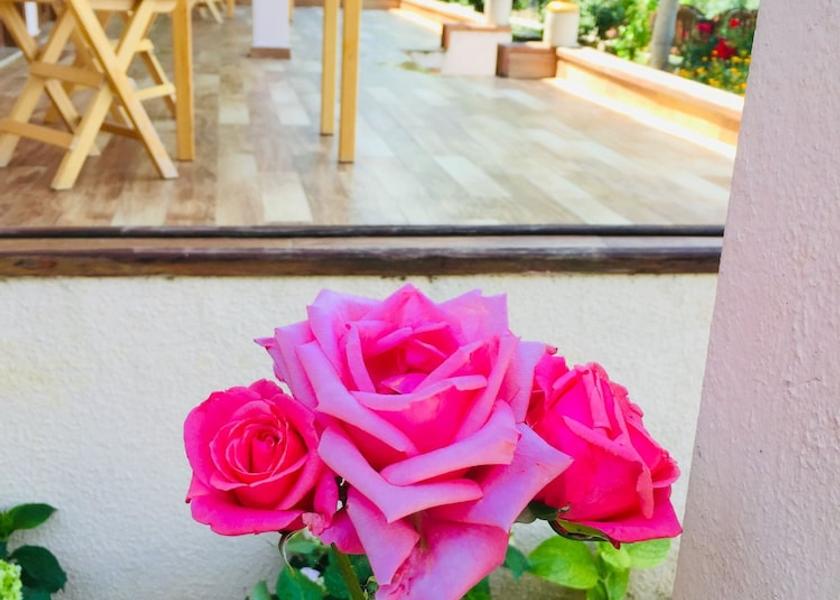 Istanbul Adalar Balcony