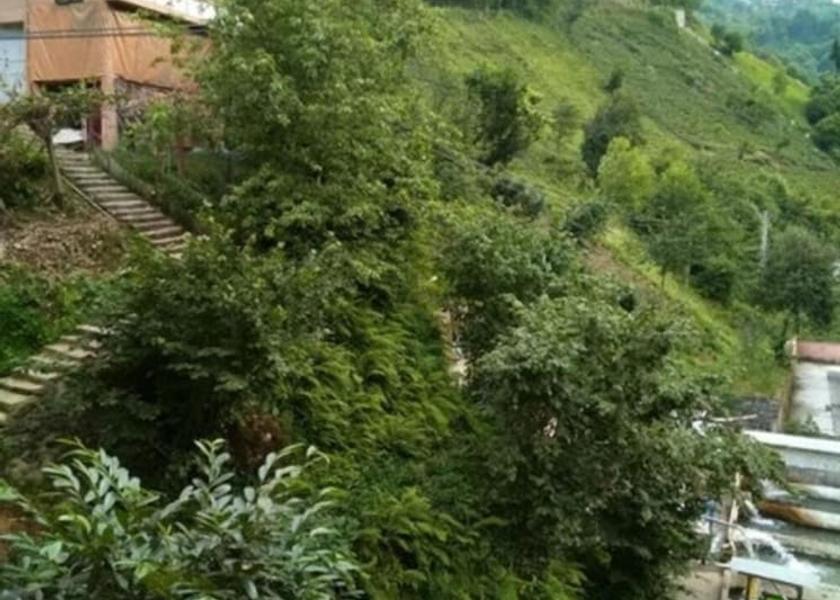 Rize Province Çamlıhemşin Exterior Detail