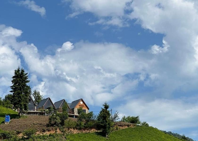 Rize Province Çamlıhemşin Exterior Detail