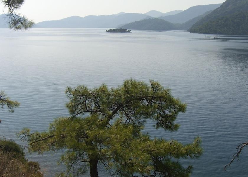 Mugla Ortaca Exterior Detail