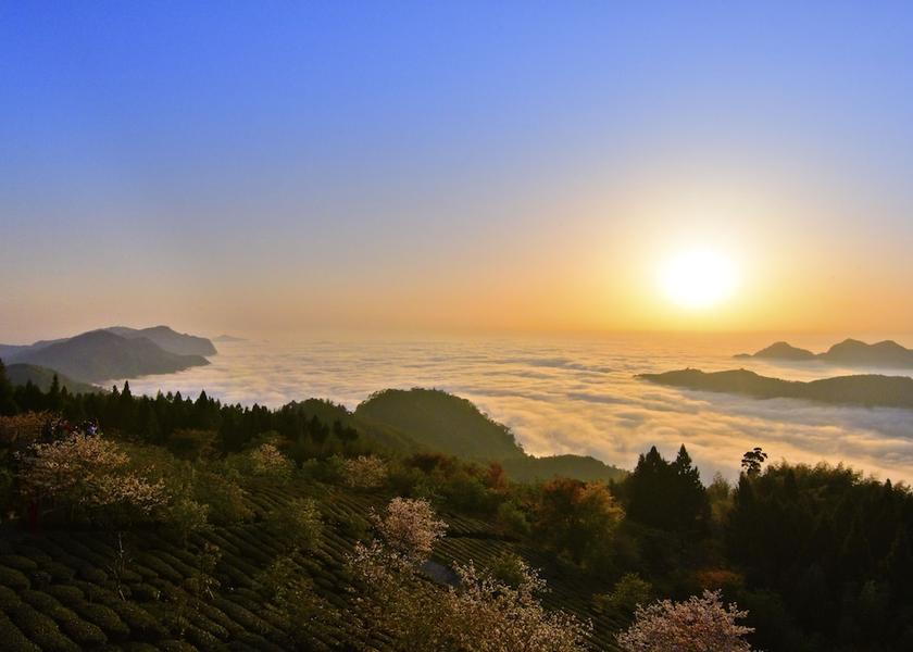 Chiayi County Zhuqi View from Property
