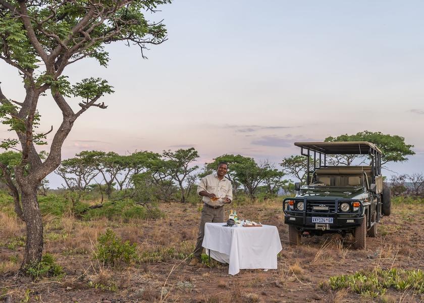 Limpopo Vaalwater Safari and game