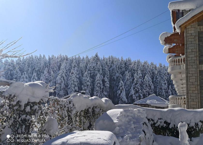 Himachal Pradesh Manali Hotel Exterior