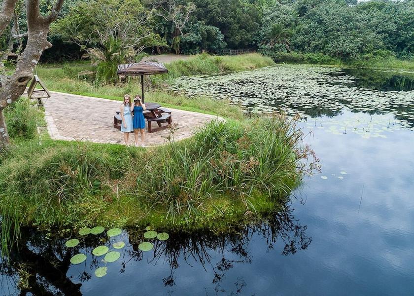 Kwazulu-Natal Southbroom Garden