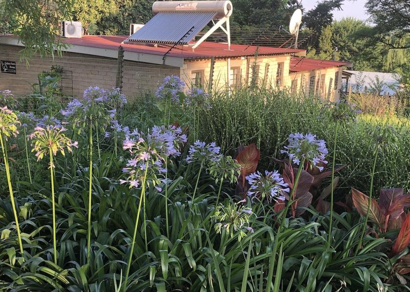 Gauteng Johannesburg Garden