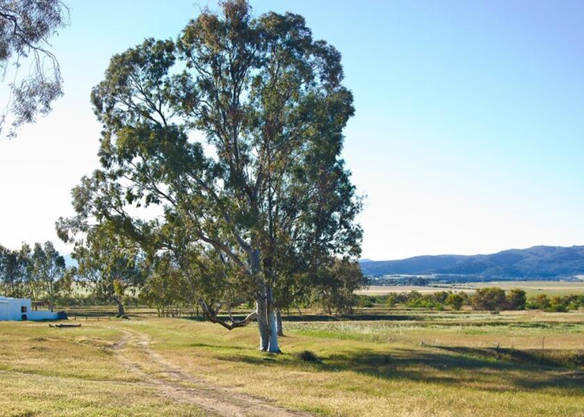 Western Cape Paarl View from Property