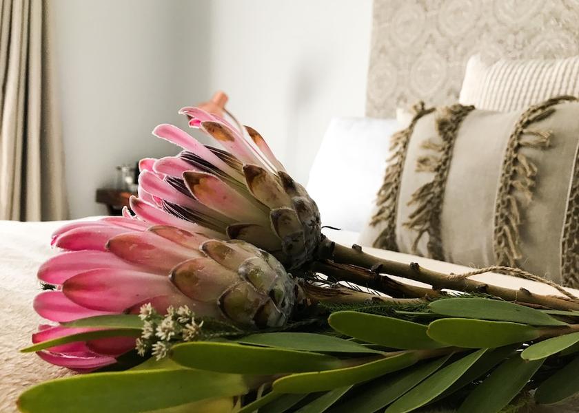 Western Cape Mossel Bay Room