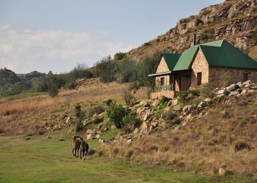 Mpumalanga Dullstroom Primary image