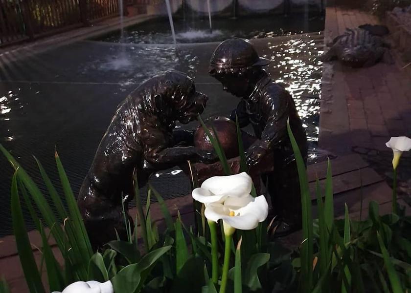 Gauteng Roodeplaat Fountain