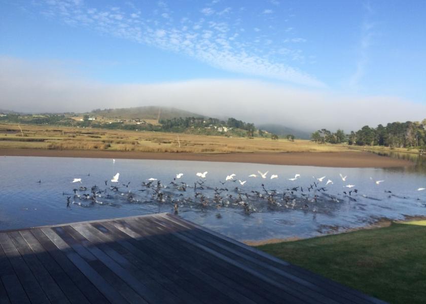 Western Cape Plettenberg Bay Ecotours