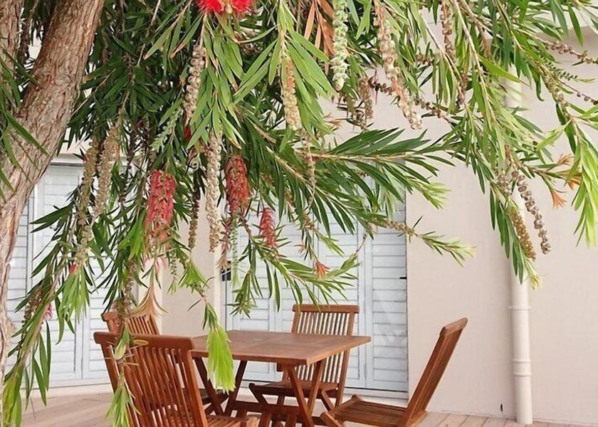 Western Cape Plettenberg Bay Courtyard