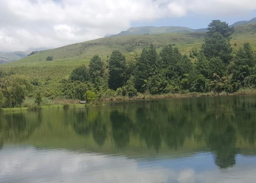 KwaZulu-Natal Cathkin Park Lake