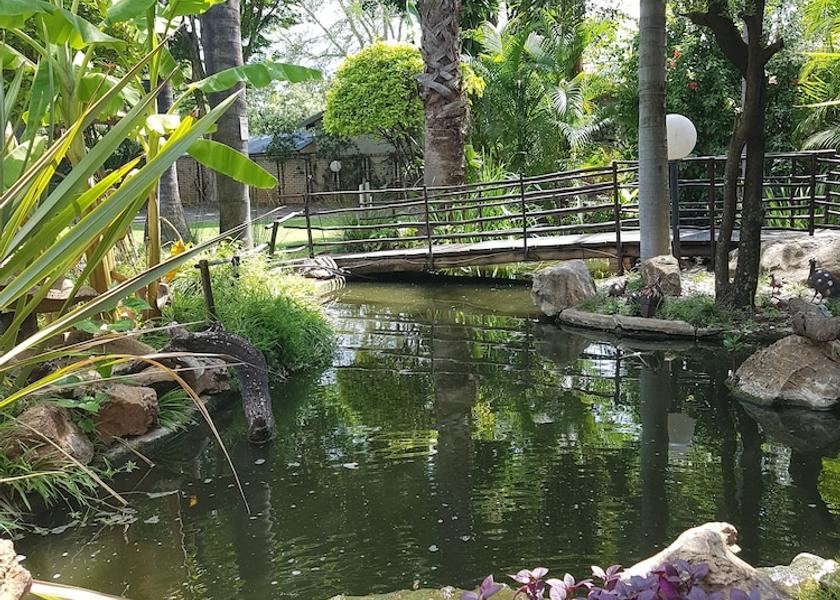 Limpopo Groblersdal Garden