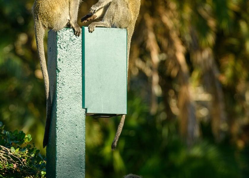 Kwazulu-Natal South Durban Exterior Detail