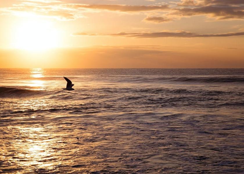 Victoria South Yarra Beach