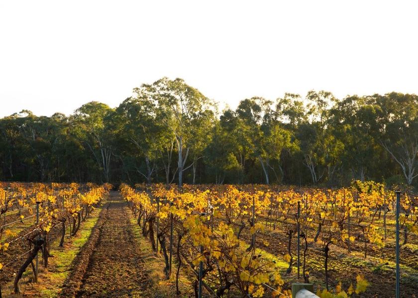 Victoria Bendigo Winery