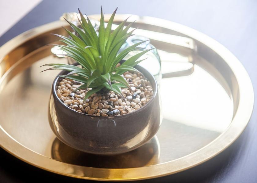 New South Wales Sydney Living Area