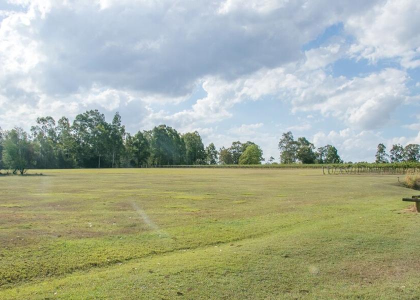 Land View from Property