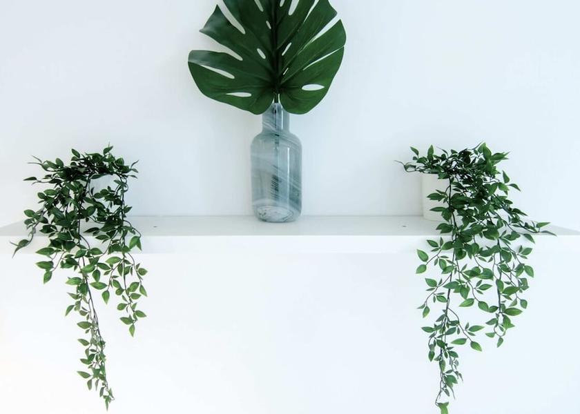 New South Wales Sydney Interior Entrance