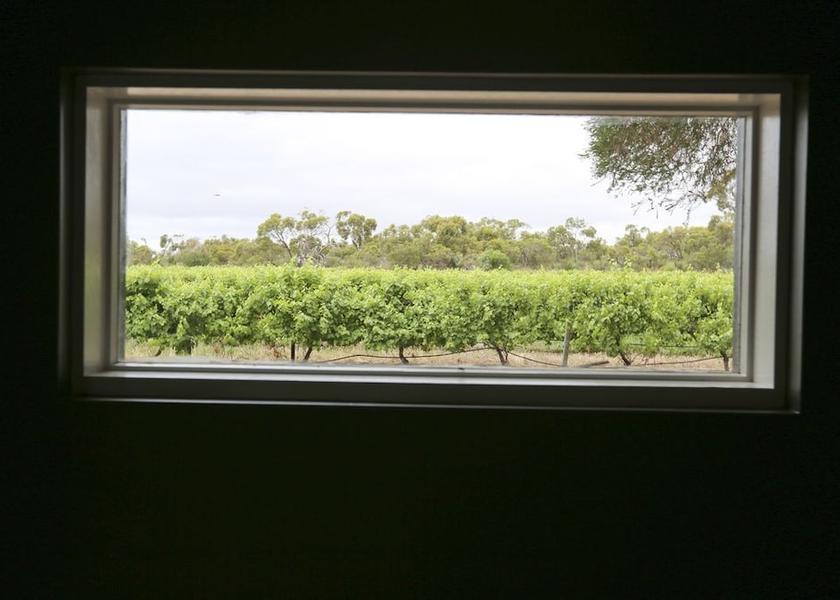 South Australia Currency Creek View from Property